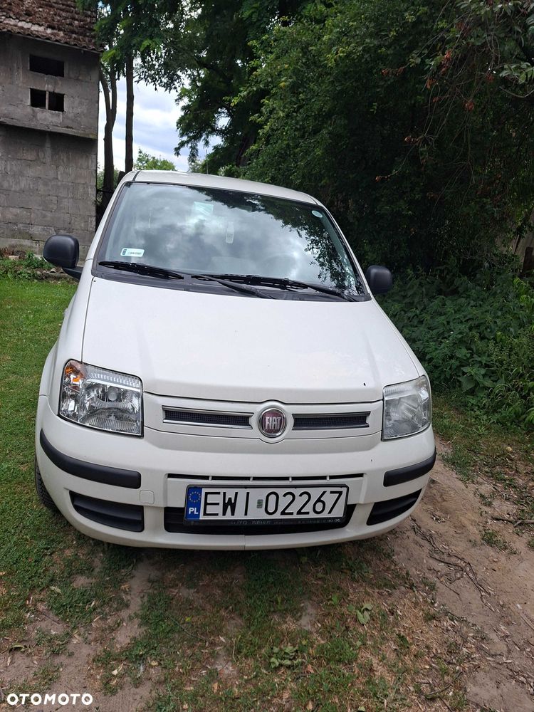 Fiat Panda - 1