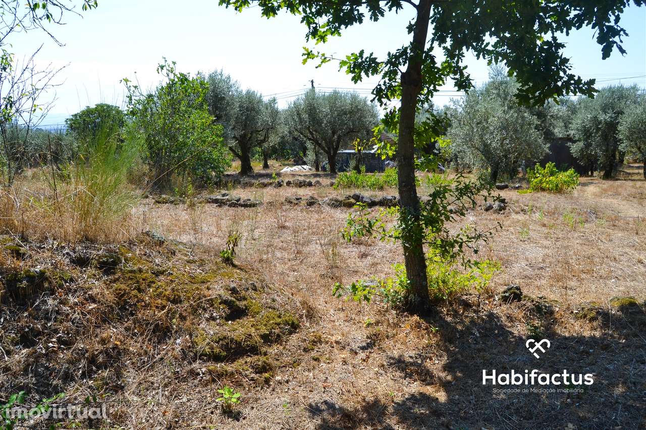 Terreno com viabilidade de construção em Vale Madeiros - Nelas - Grande imagem: 4/5