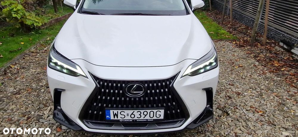 Lexus NX 350h Prestige AWD - 1