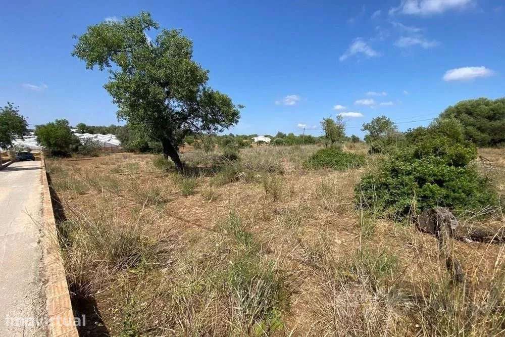 Terreno, 8 053 m², Pechão - Grande imagem: 3/4