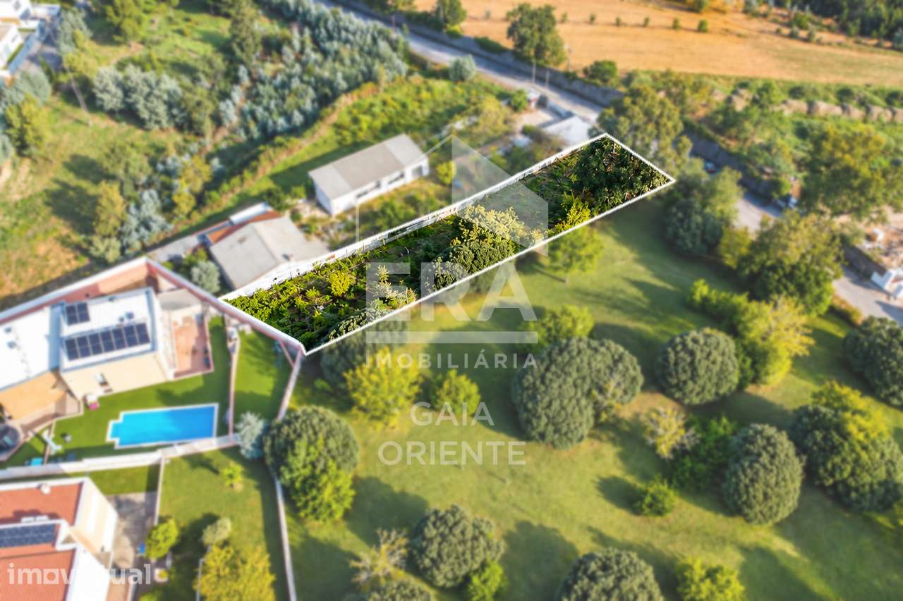 Terreno com Vista Rio em Olival - Grande imagem: 4/7