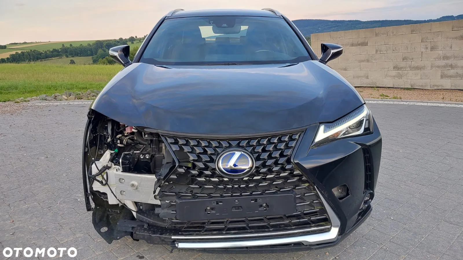 Lexus UX 250h Business Edition - 2