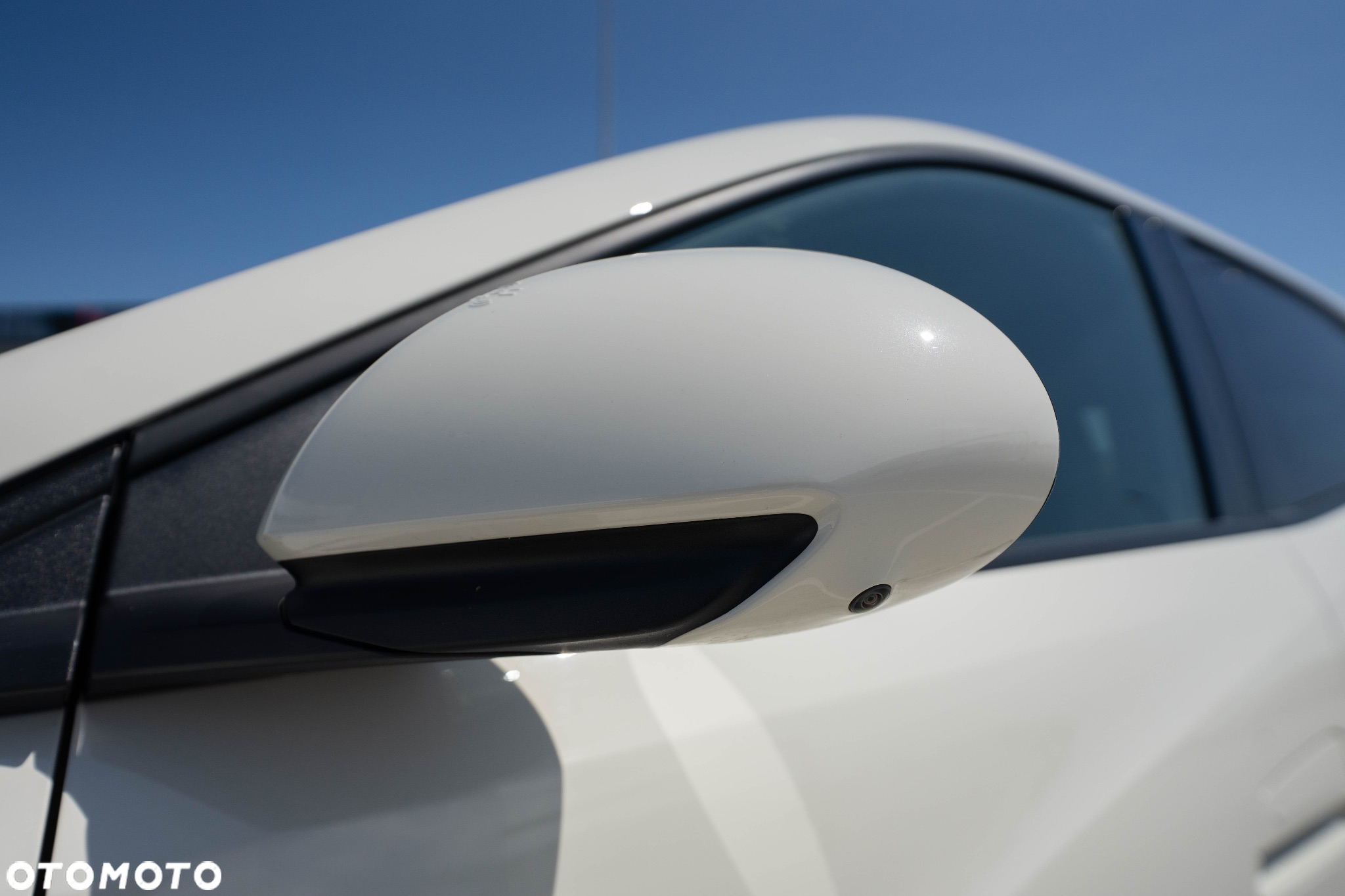 BYD Dolphin - 12