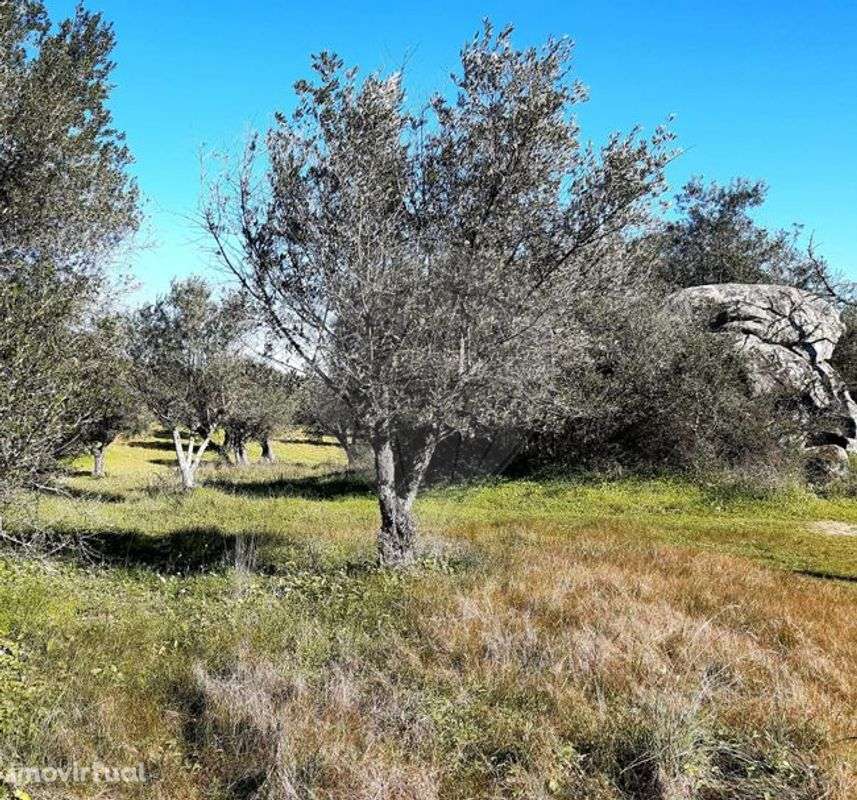 Terreno  para venda - Grande imagem: 3/21