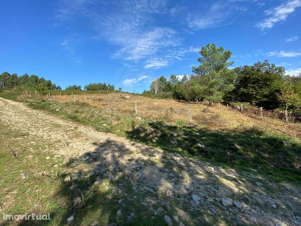 Terreno para construção. - Grande imagem: 5/10