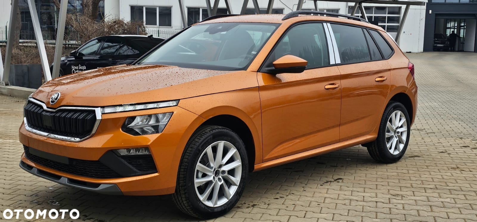 Skoda Kamiq 1.5 TSI Selection DSG - 2