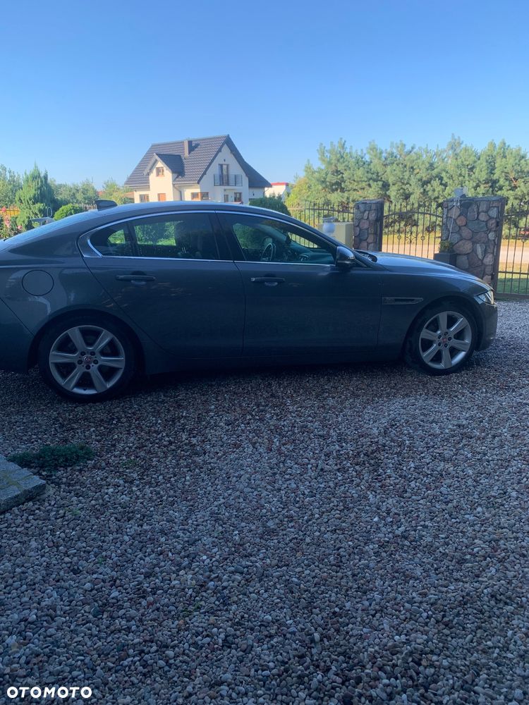 Jaguar XE - 5