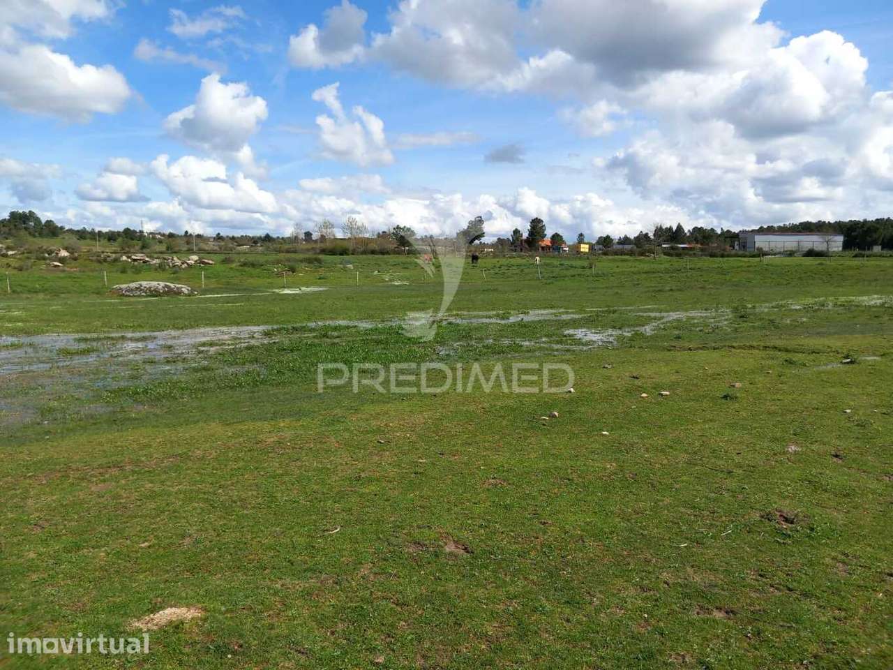 Quinta à venda com 6 Hectares – Mêda - Grande imagem: 4/13