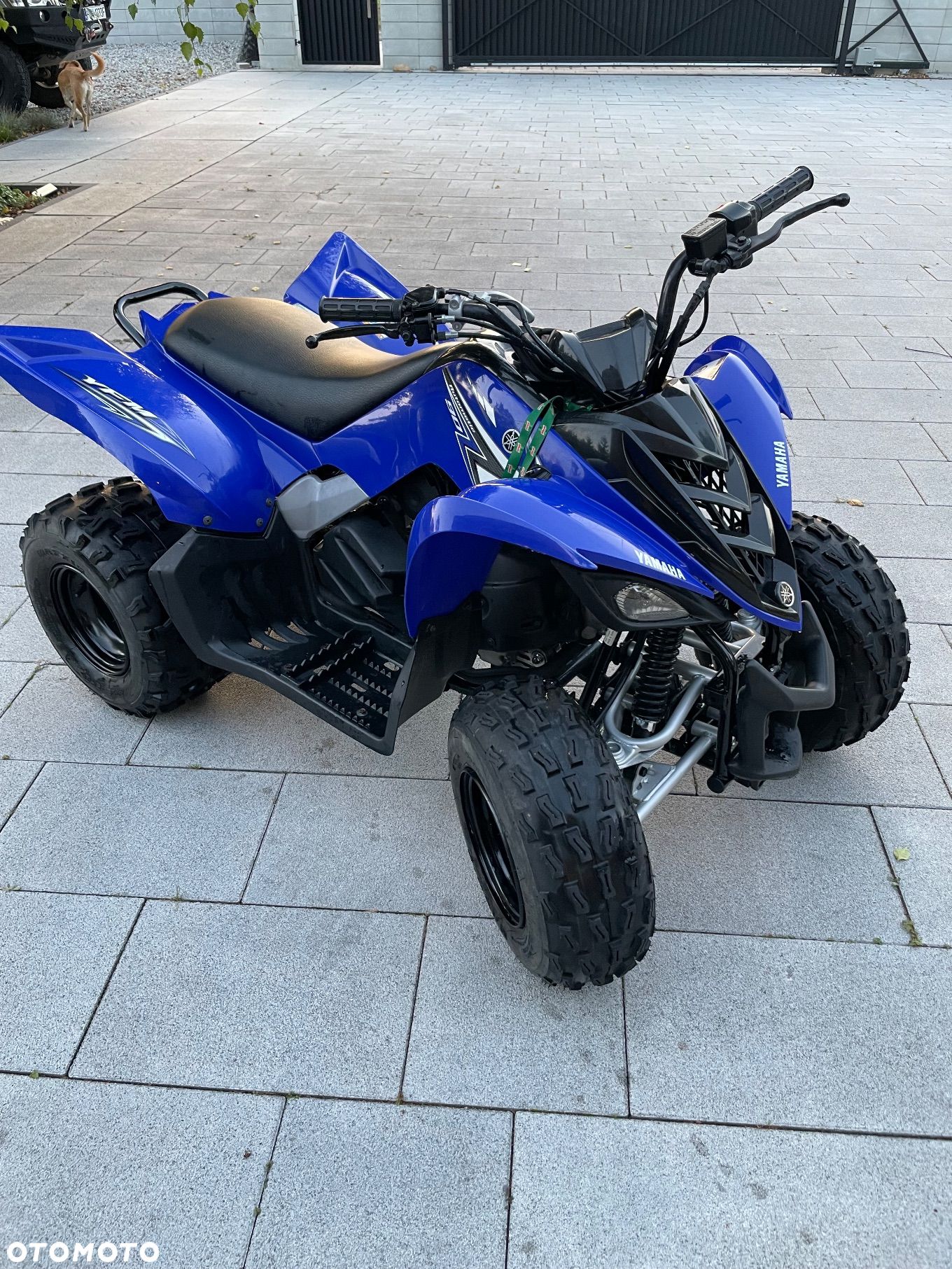 Yamaha YFM