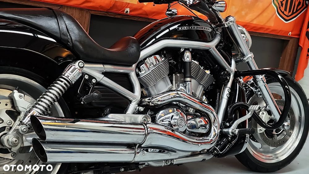 Harley-Davidson Softail V-Rod - 30