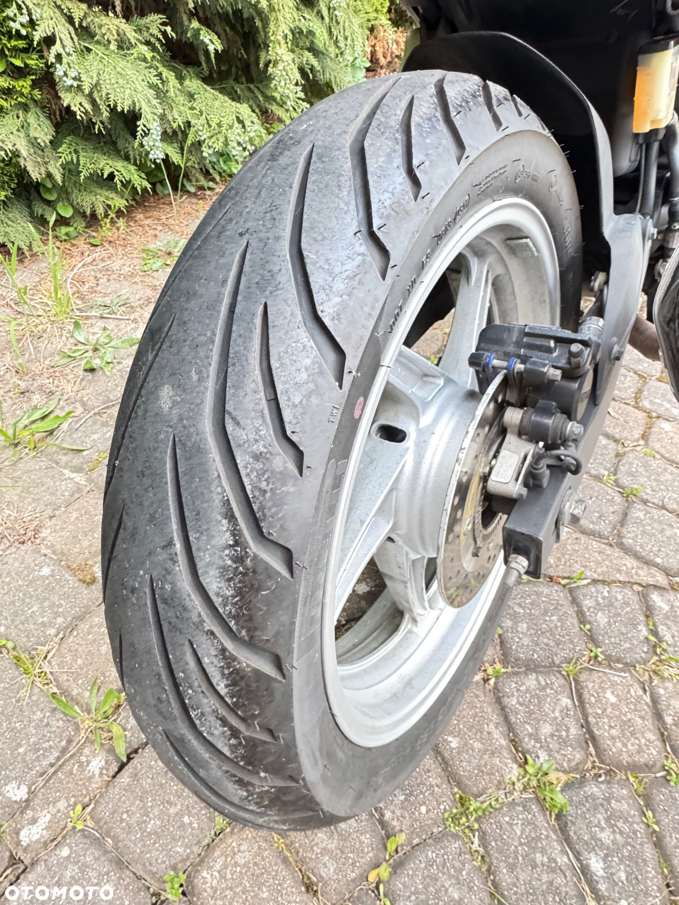 Honda CBR - 9