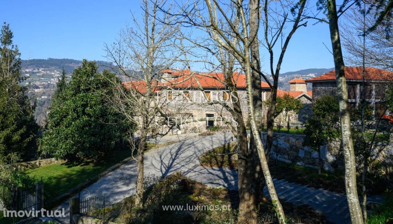Quinta Vinícola V7 para venda em Felgueiras, Norte de Portugal - Grande imagem: 3/43