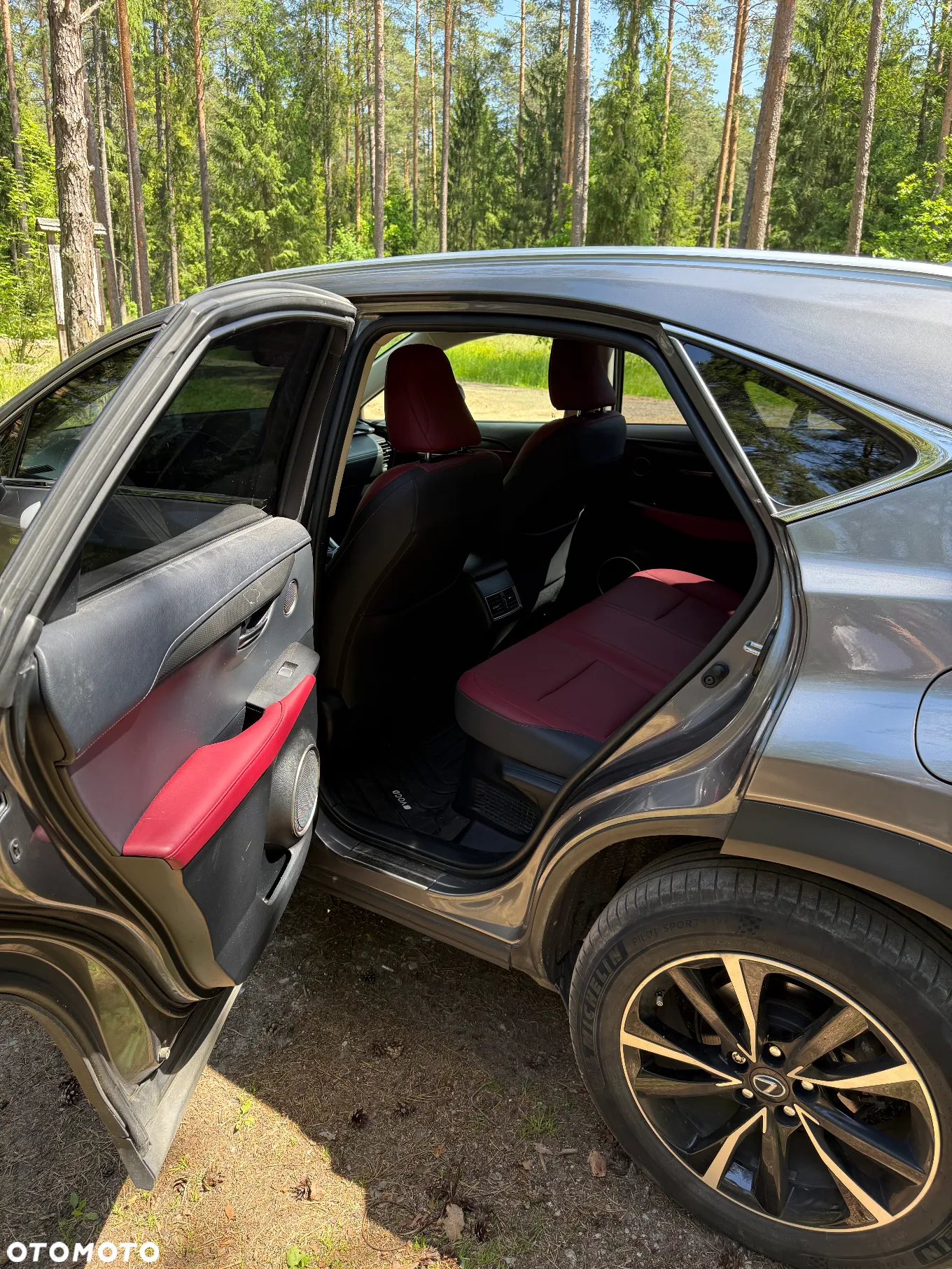 Lexus NX - 5