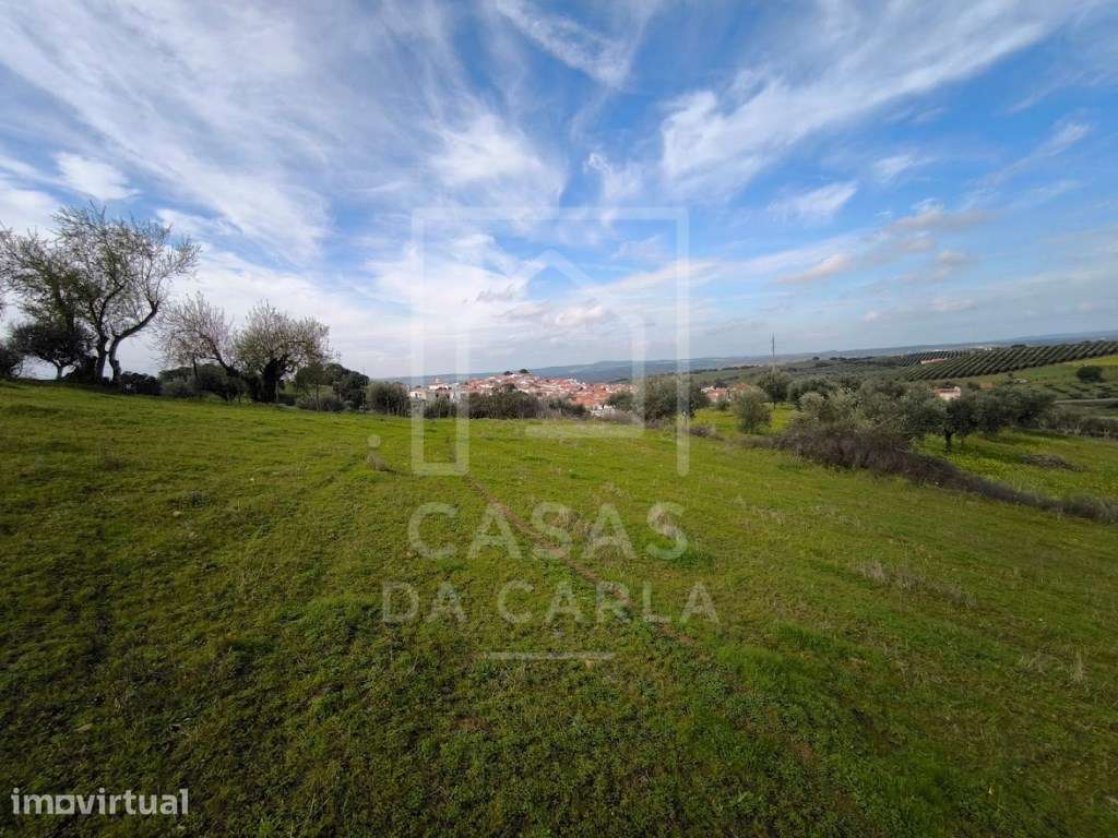 Terreno com 6000m2 em Vila Ruiva - Grande imagem: 2/12