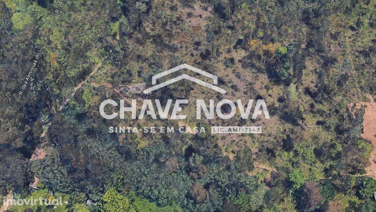 Lote de Terreno Misto p/ Moradias e Industrial - Grande imagem: 4/6