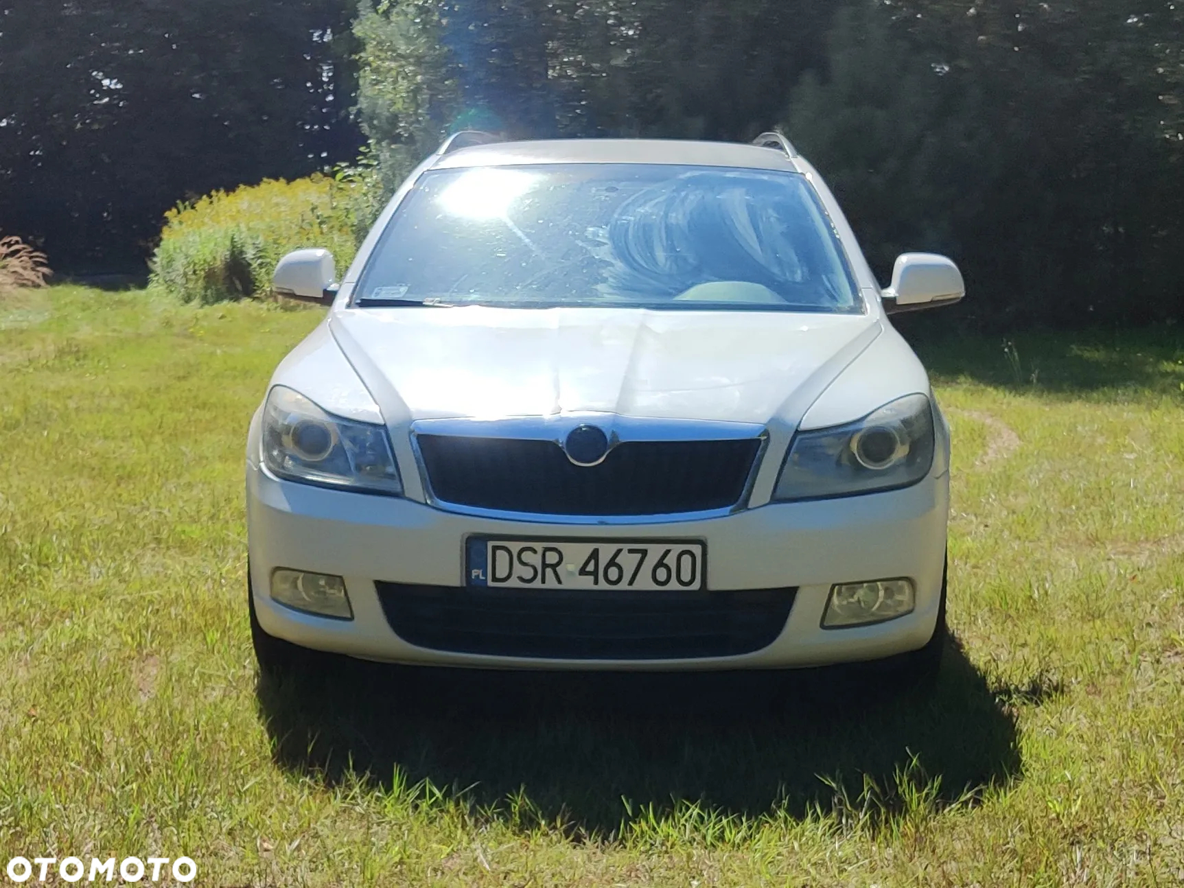 Skoda Octavia 1.9 TDI Elegance DSG - 10