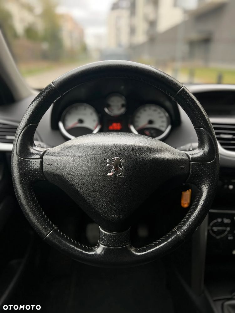 Peugeot 207 - 24