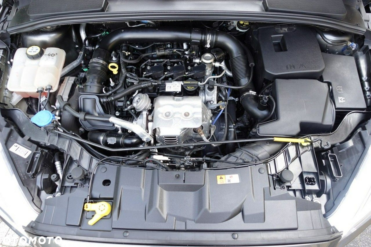 Ford Focus - 11