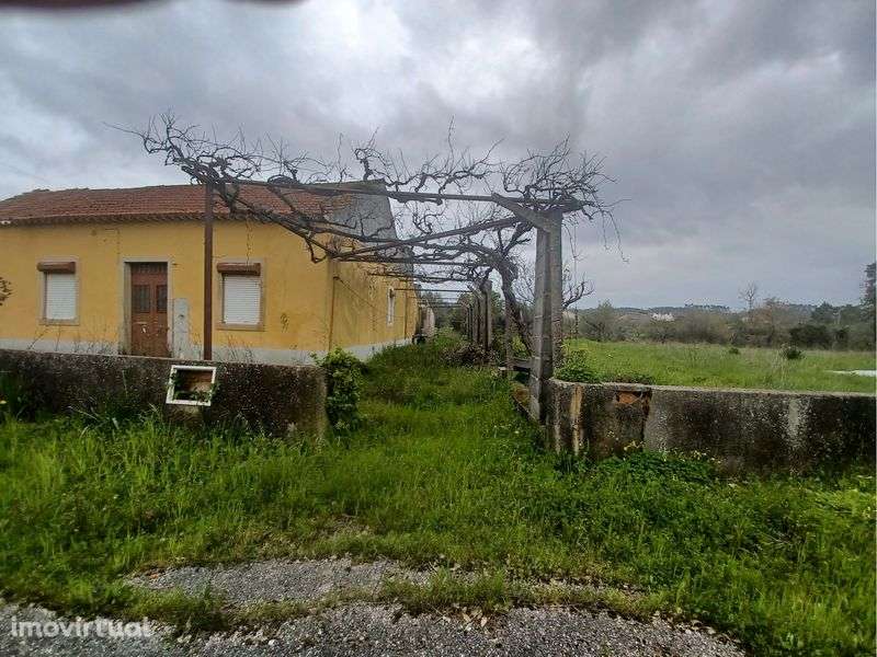 Vende-se 3 terrenos com casa e posibilidade de contricão - Grande imagem: 2/5