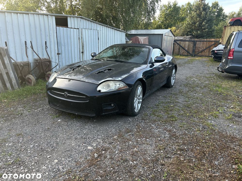 Jaguar Inny - 1