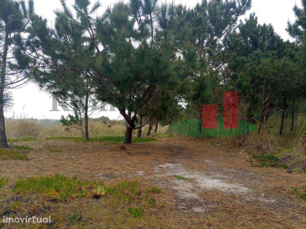 Terreno - Estrada Atlântica***RIOMAGIC*** - Grande imagem: 4/19