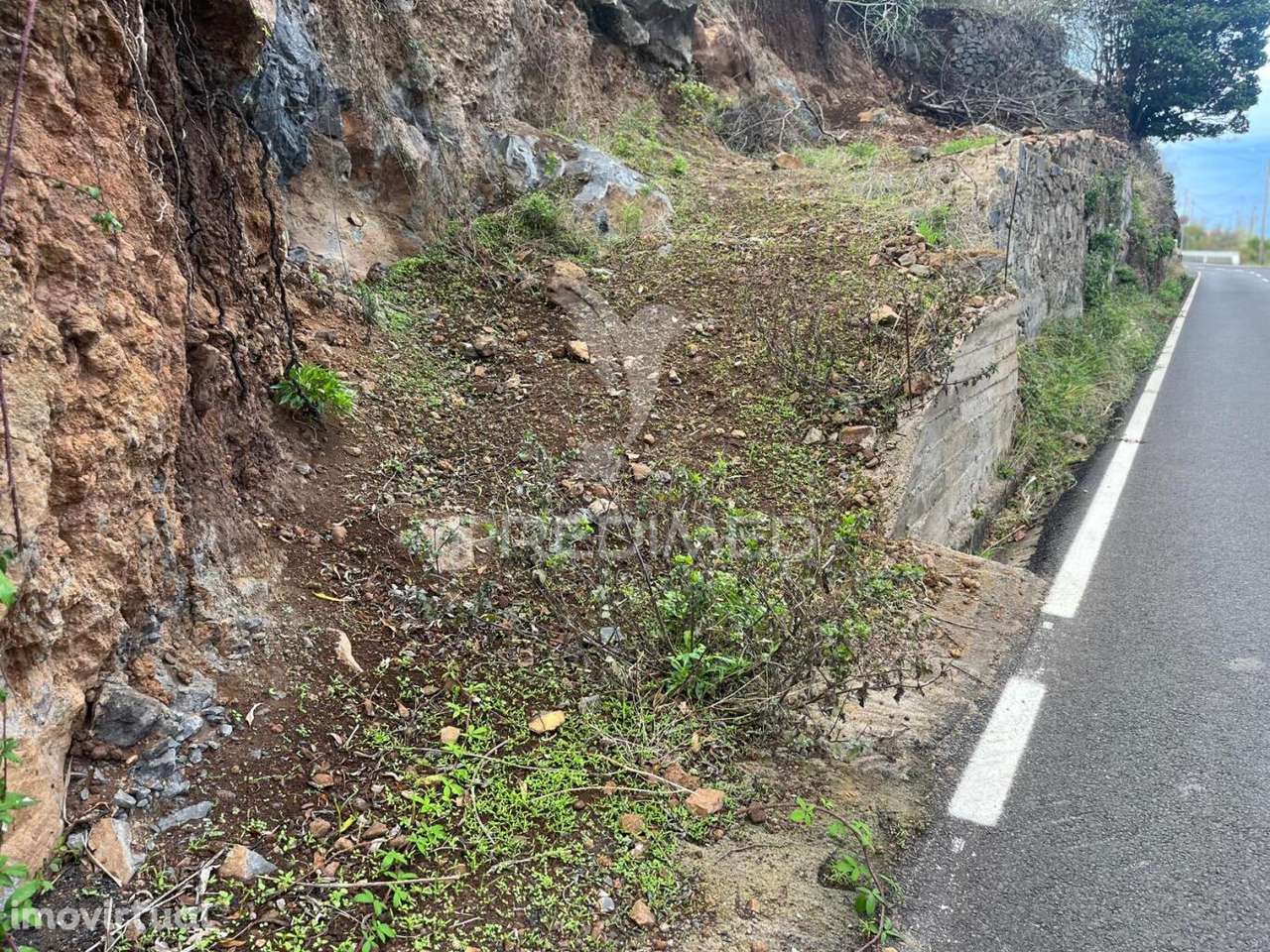 TERRENO COM 500M2 NA FAJÃ DA OVELHA-CALHETA - Grande imagem: 3/3