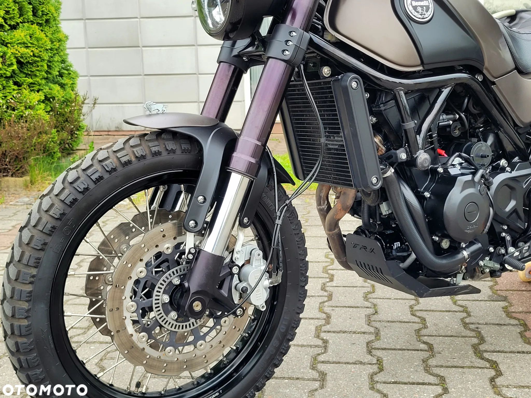 Benelli Leoncino - 24