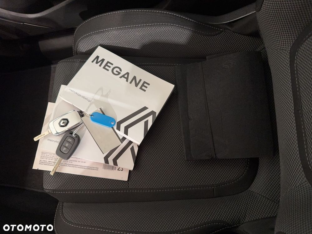 Renault Megane - 29