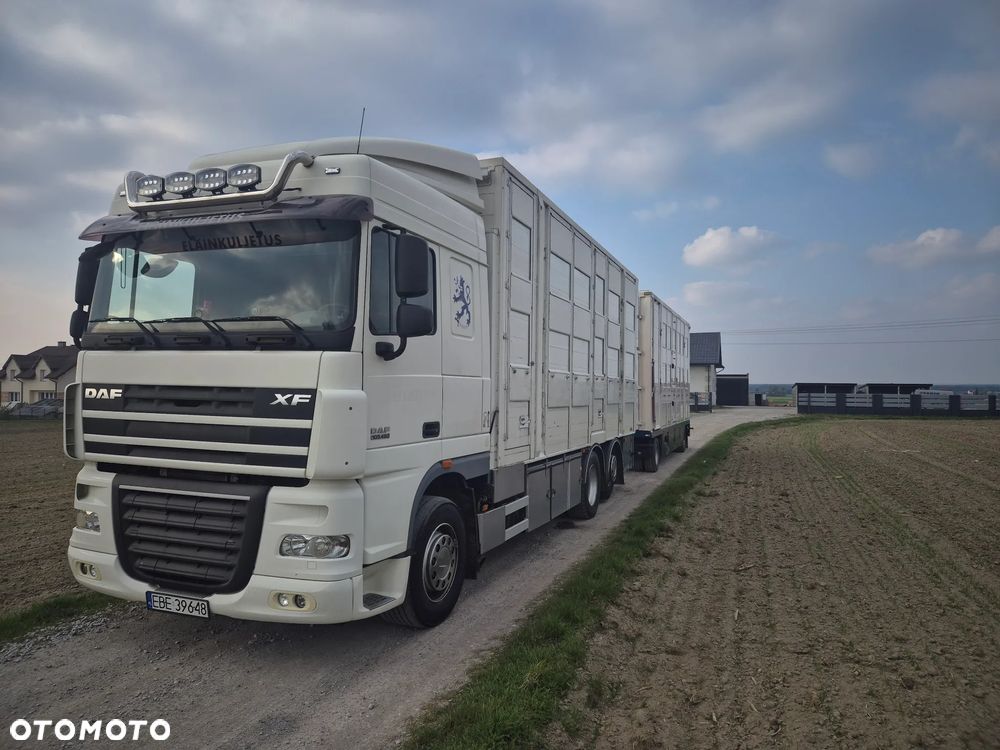 DAF XF 105 460KM - 2