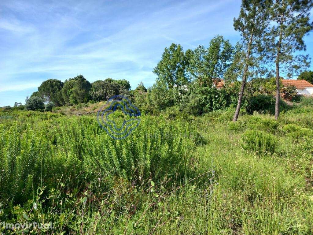 Terreno para construção na cidade de Tomar no cetro de Portugal - Grande imagem: 5/32