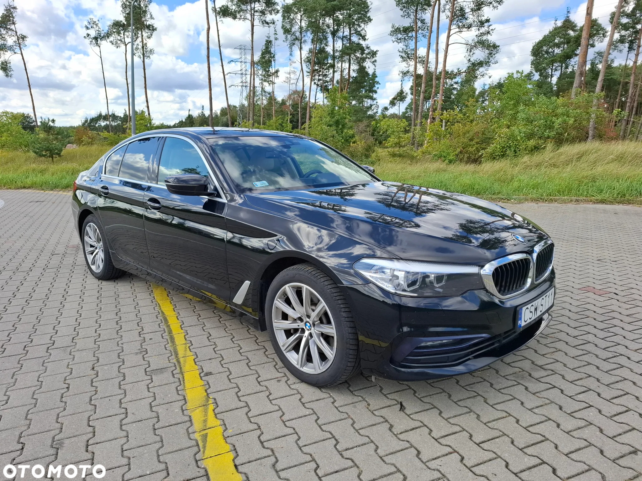 BMW Seria 5 530i xDrive - 2