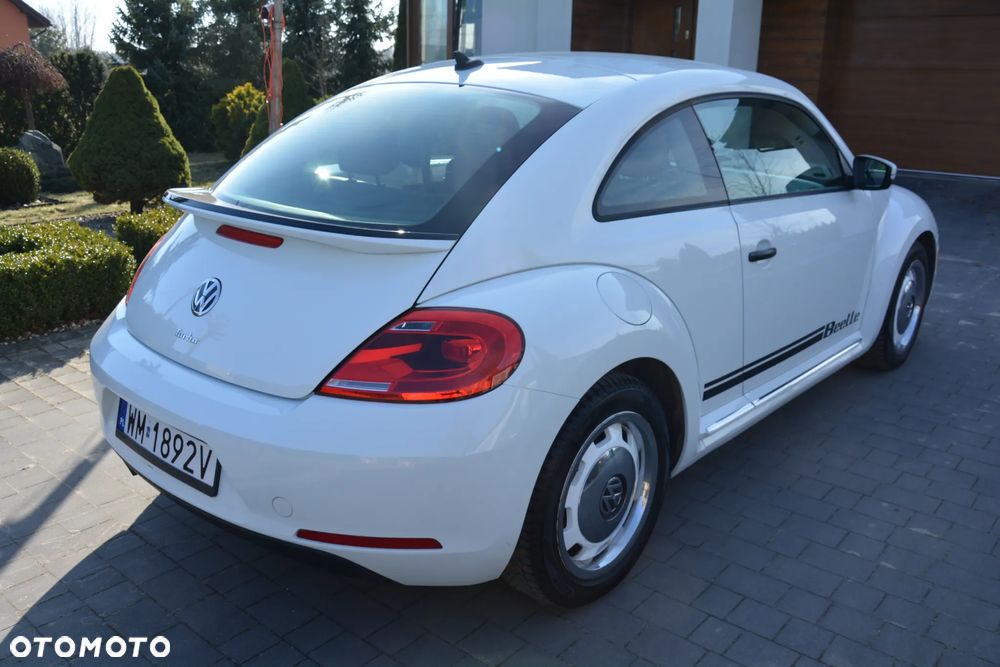 Volkswagen Beetle - 7
