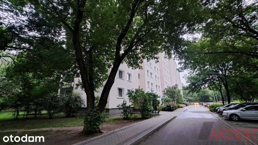 Jelonki mieszkanie dwupokojowe z balkonem.