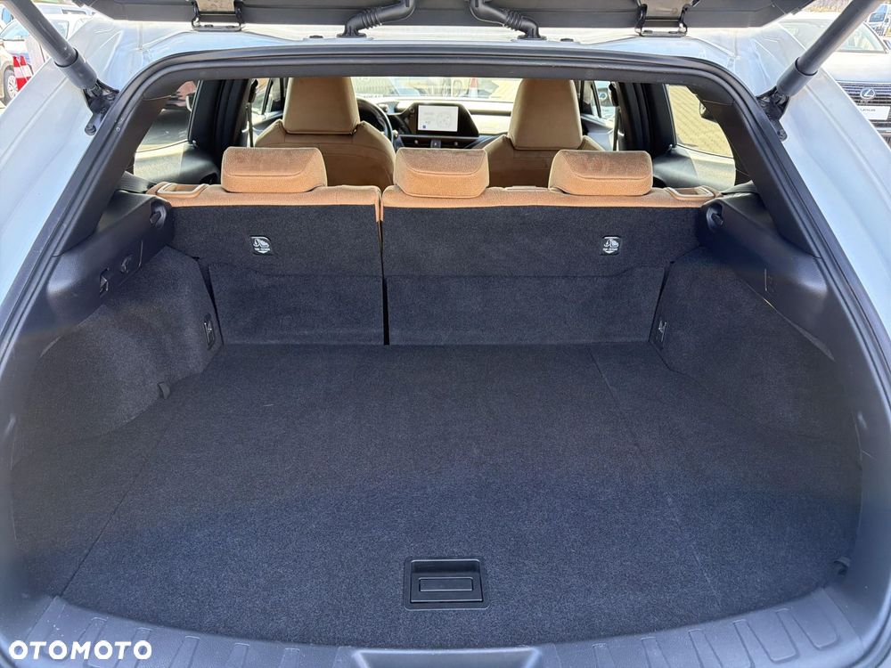 Lexus UX 250h GPF Business 2WD - 13