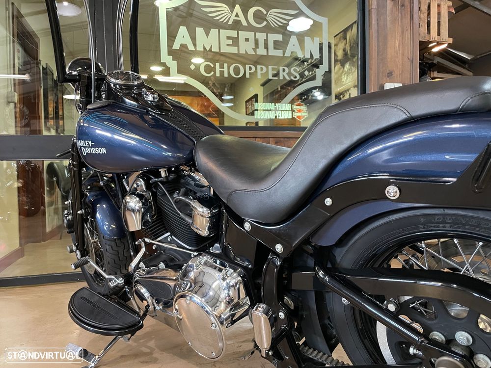 Harley-Davidson FLSTS Crossbones - 10