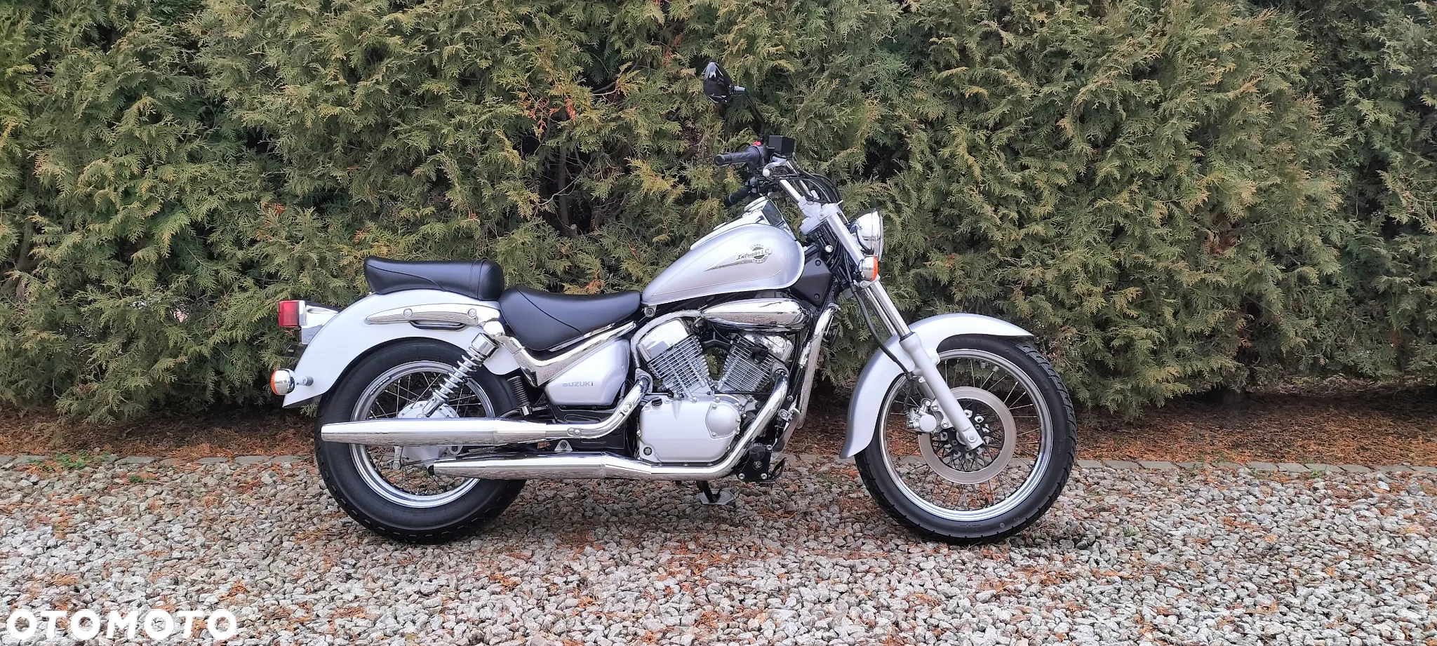 Suzuki Intruder - 3