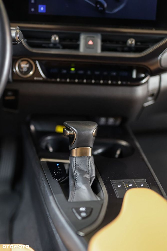 Lexus UX 250h GPF F Sport Design 2WD - 30