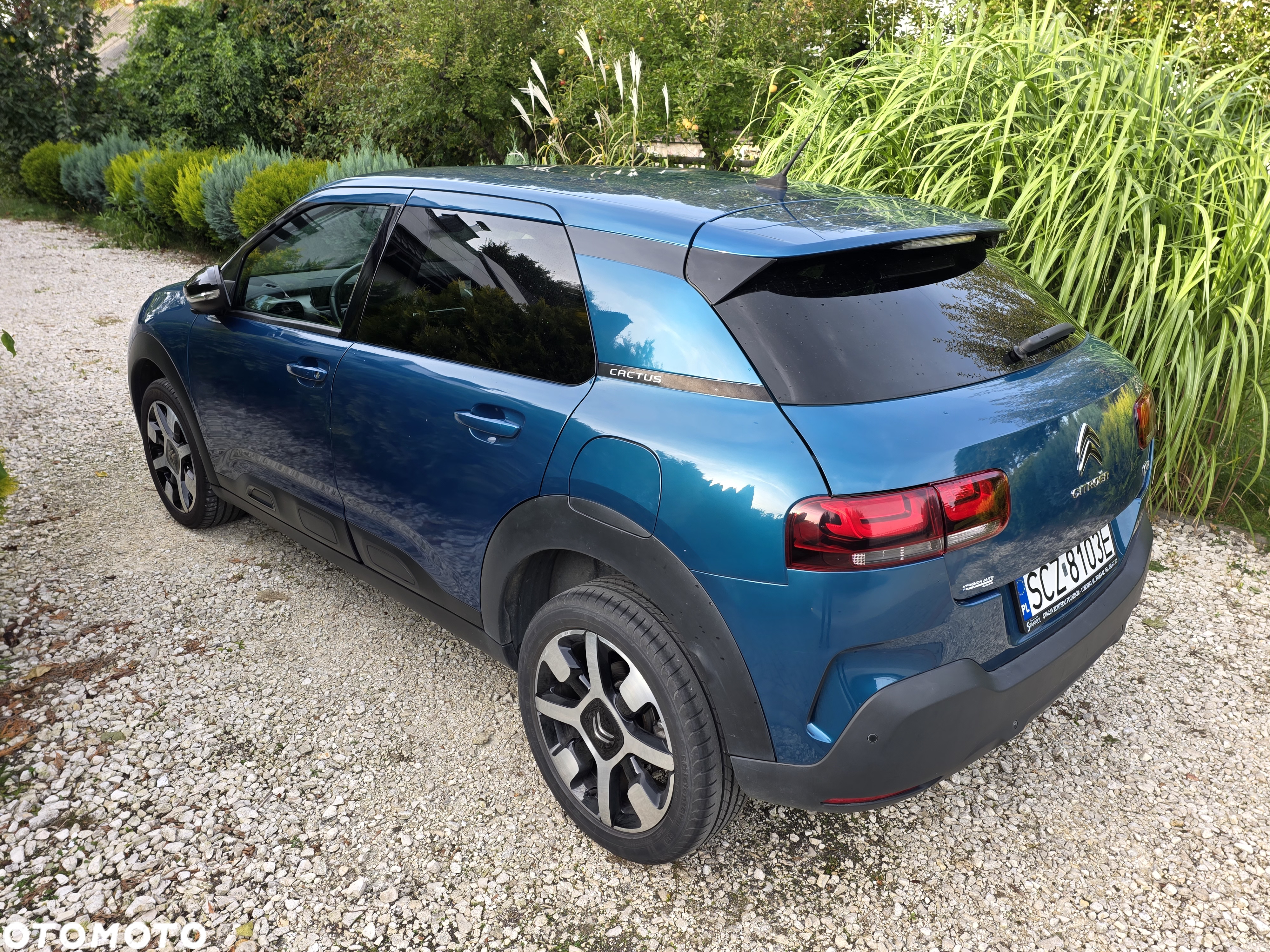 Citroën C4 Cactus PureTech 110 Stop&Start EAT6 Shine - 14