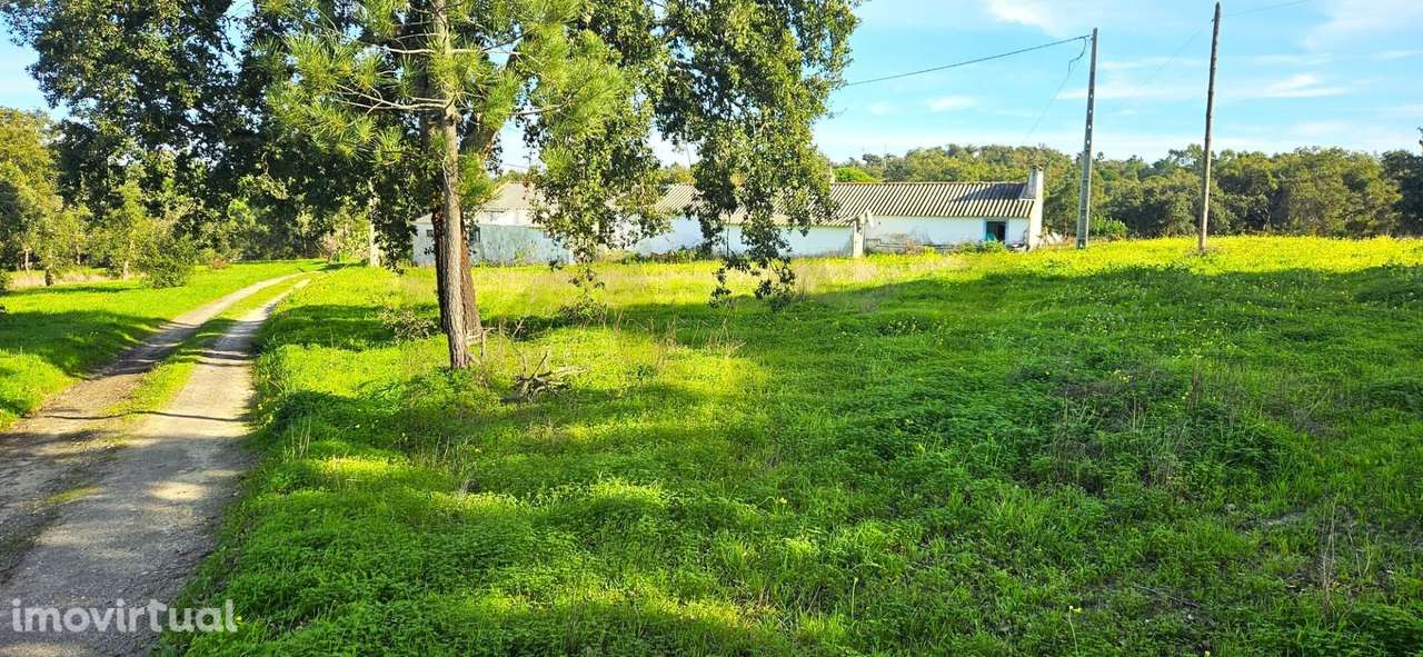 Quintinha Exclusiva a 5 Minutos da Praia: O Cenário Perfeito para o Se - Grande imagem: 3/23