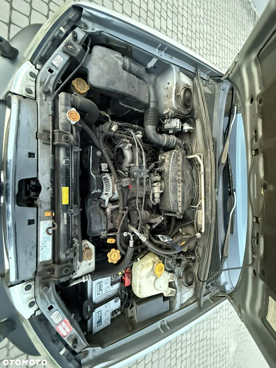 Subaru Forester - 28