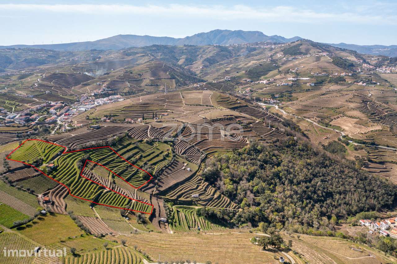 Terreno com 9 121 m2 situado em S. Marta de Penaguião - Grande imagem: 2/15