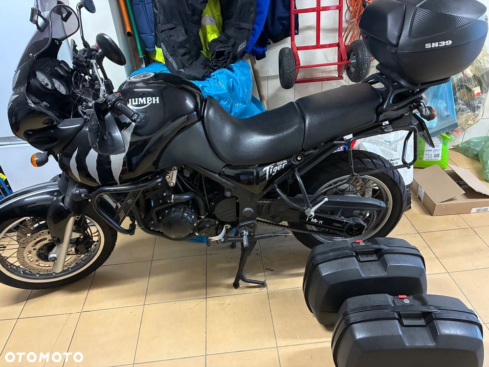 Triumph Tiger - 9
