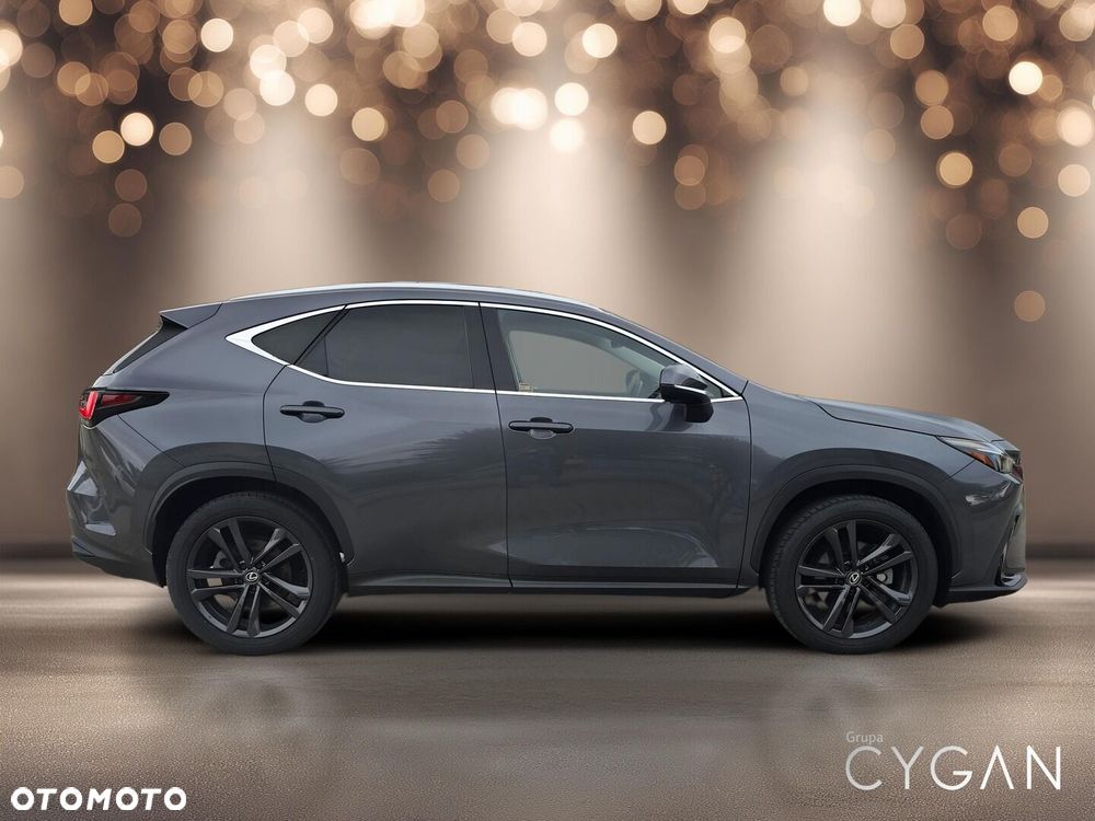 Lexus NX - 8