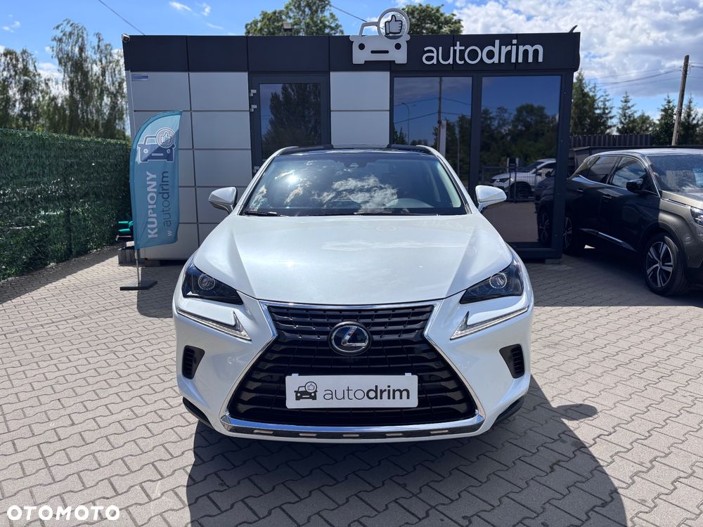 Lexus NX 300h E-FOUR Executive Line - 7