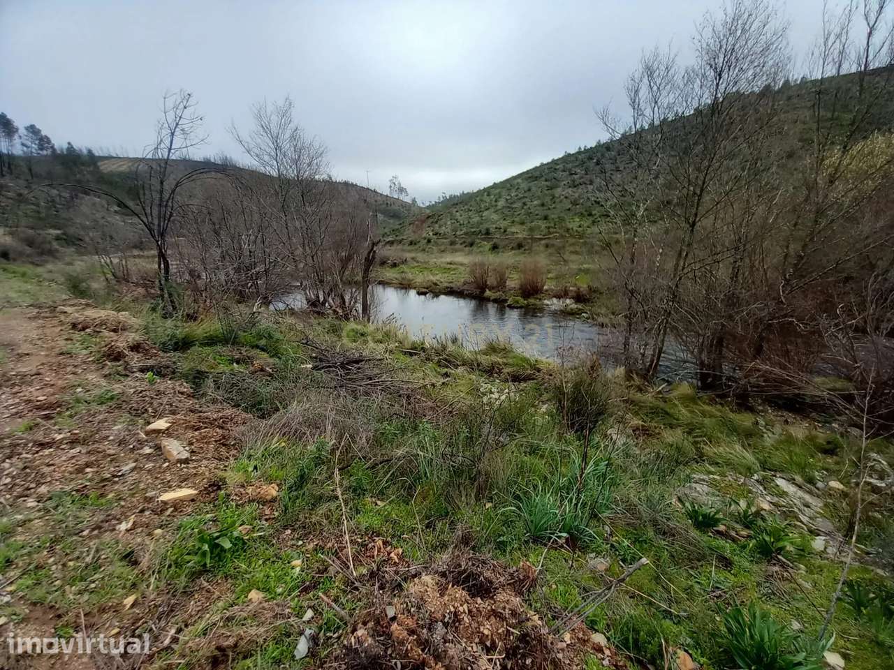 Terreno Rustico com 10000m2 Sobrainho da Ribeira - Grande imagem: 3/12