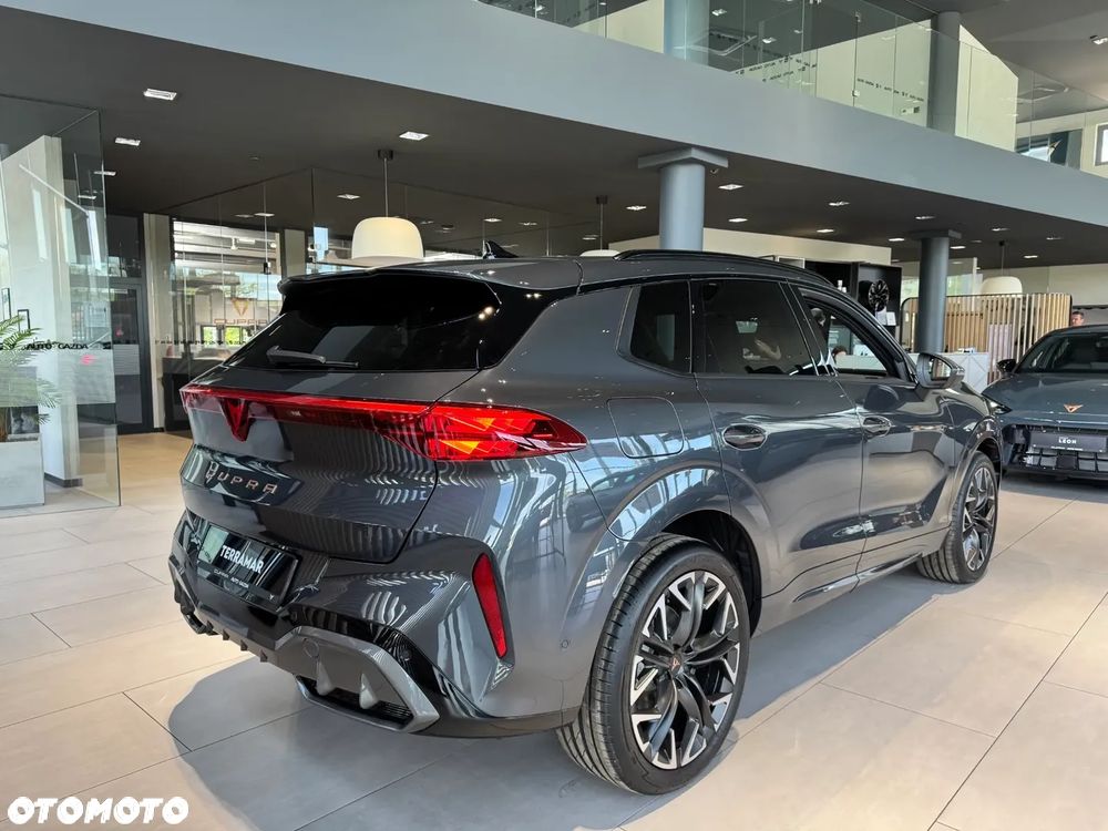 Cupra Terramar - 8