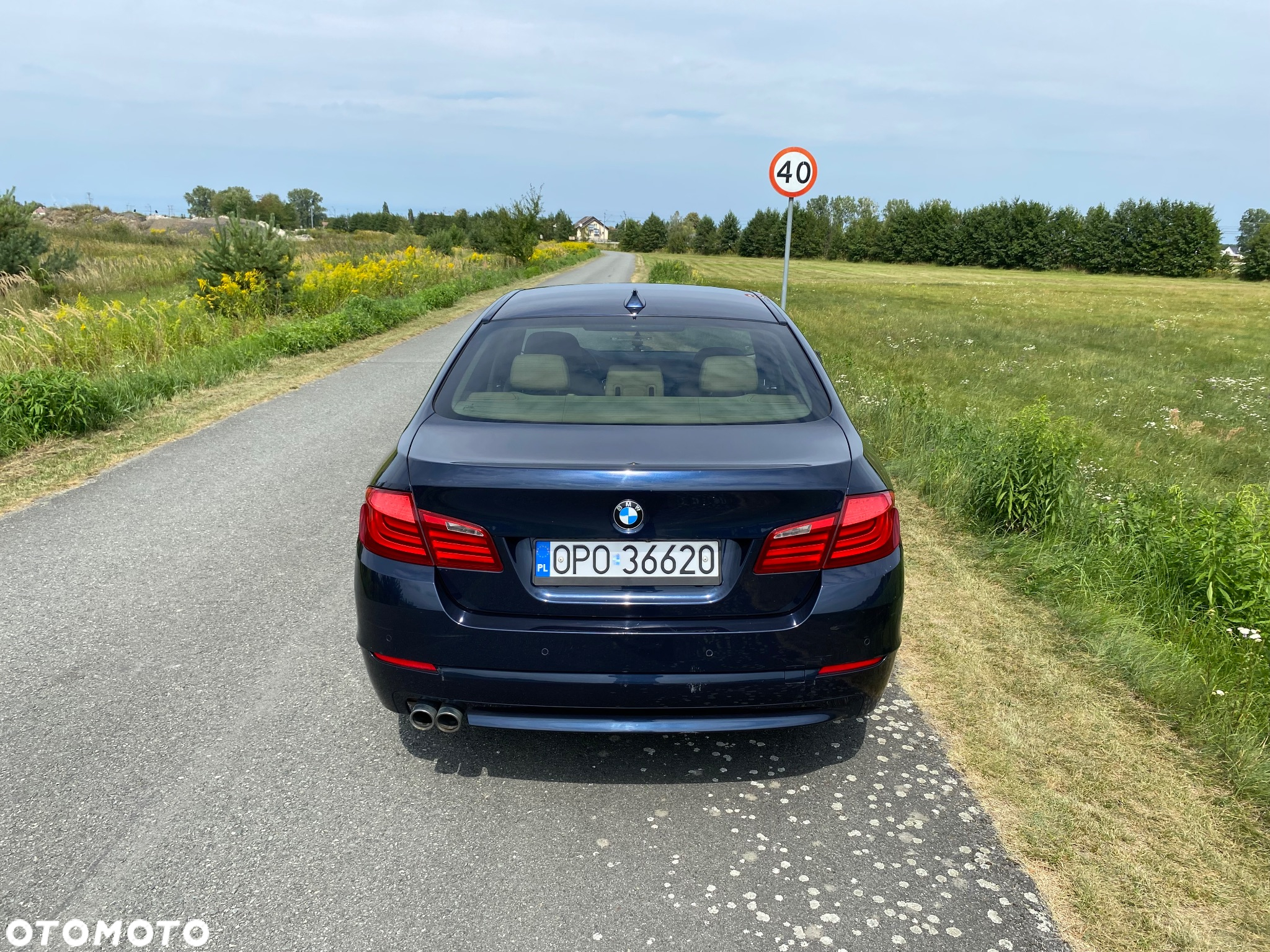 BMW Seria 5 530d xDrive - 6