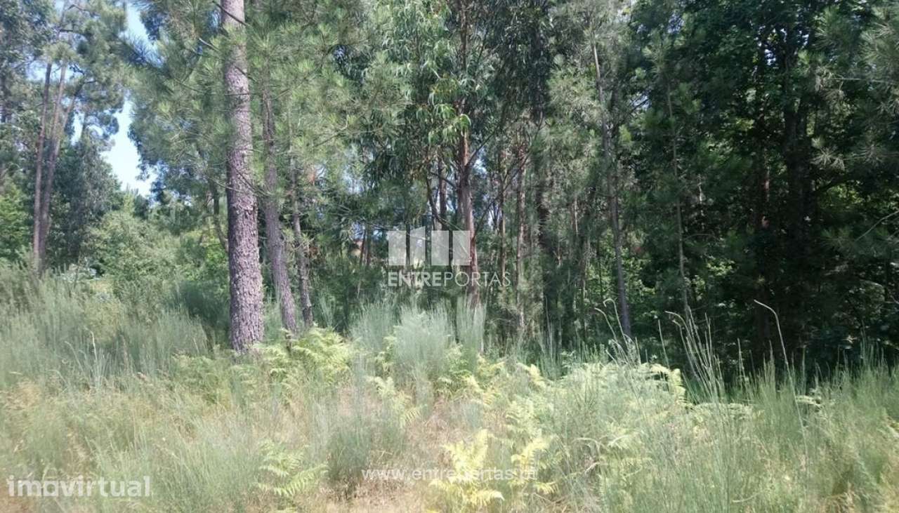 Venda Terreno, próximo rio, Alpendurada e Matos, Marco de Canaveses - Grande imagem: 2/6