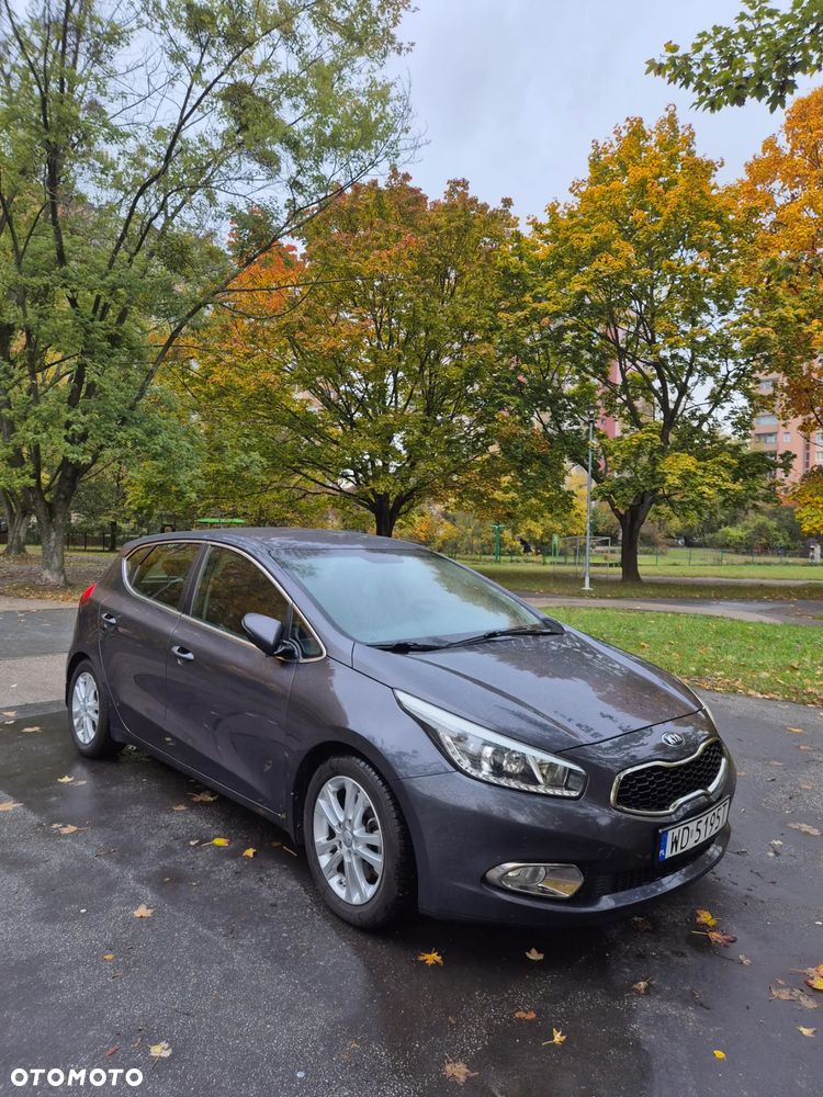 Kia Ceed - 1