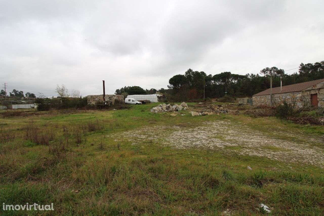 Terreno na Estrada Nacional - Grande imagem: 2/11